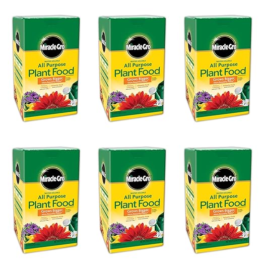 Miracle-Gro All Purpose Plant Food Plant Fertilizer (6 Pack), 3 lb