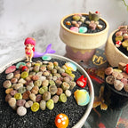 Lithops Random Mix Rare Live Succulent Plants, 30/50/100 Pcs Succulent Live Plant, Bare Root Without Pot Soil, Garden Indoor Office, Friend Plant Lovers Gifts (Normal 30pcs)