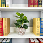 Artificial Potted Plants Life-Like Fake Plant with Farmhouse-Style Cement Planter Feturing Light Wood Tone for Room Bathroom Bedroom Kitchen Office Dese Coffee Table Décor (9inch)