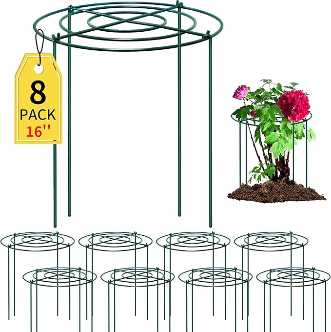 SYITCUN 8pack Peony Cages and Supports, 10 x 16 Inch Four Legs Peony Cage, Heavy-Duty Peonies Support Cages, Peony Ring for Roses, Hydrangeas, Sage, Peonies, Cucumbers, Tomato