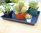 VUWEZ Rectangle Plant Tray, Plant Drip Tray, Plant Pot Saucers, Plant Germination Trays, Plant Saucers, 17.5'' x 10.6'' x 1.5'' (2 pack), Blue