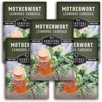 Motherwort Seeds for Planting - Plant & Grow Lion's Tail Medicinal Herbs in Your Home Herb Garden - Non-GMO Heirloom Variety - Survival Garden Seeds