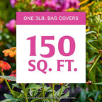 Scotts Rose & Bloom Continuous Release Plant Food, 3 lb