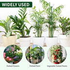 10 Pack Stackable Plant Support Stakes - Climbing Support for Indoor & Outdoor Use - Garden Accessories for Monstera, Pothos, Philodendron - Aesthetic Alternative to Moss Poles & Trellises