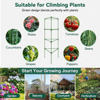 Halatool 6 Pack Tomato Cages for Graden 60 Inch, Adjustable Metal Tall Heavy Duty Tomato Trellis Plant Support, Foldable Tomatoes Stakes for Climbing Vegetables Flowers Fruits