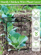 Kalolary 5 Packs Plant Protectors with Cover from Animals, 20''Large Square Wire Plant Cage Metal Garden Plant Protection Chicken Wire Cloche for Plant Flowers Vegetable (20'' x12.6''x 12'')