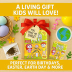 TickleMe Plant Seeds (2 Pack) – Grow the Touch-Sensitive Plant that Closes When Touched – Fun Easter Basket Stuffer – Easy Indoor Science Activity for Kids & Adults