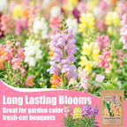 430,000+ Snapdragon Seeds for Planting - 1.4oz Bulk Pack 5-Color Mixed Snapdragon Flower Seeds (Antirrhinum majus) for Garden Beds, Borders, Pots & Cut Flower Displays, Instructions Included