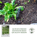 Perpetual Spinach Seeds for Planting, 300+ Heirloom Seeds Per Packet, (Isla's Garden Seeds), Non GMO Seeds, Botanical Name: Beta vulgaris subsp. vulgaris, Great Home Garden Gift