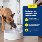 PetSafe Outlast Pumpless Dog Water Fountain 128 oz Indoor Water Dispenser for Dogs and Multiple Cats - Dishwasher Safe, Easy Assembly and Cleaning, Water Filter Included