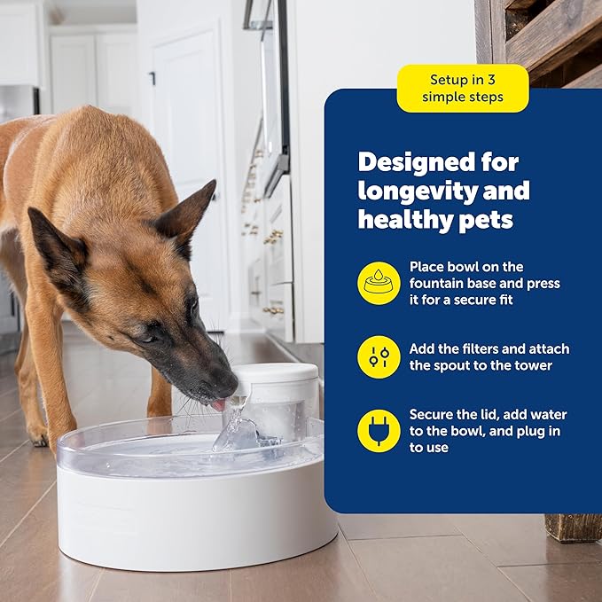 PetSafe Outlast Pumpless Dog Water Fountain 128 oz Indoor Water Dispenser for Dogs and Multiple Cats - Dishwasher Safe, Easy Assembly and Cleaning, Water Filter Included