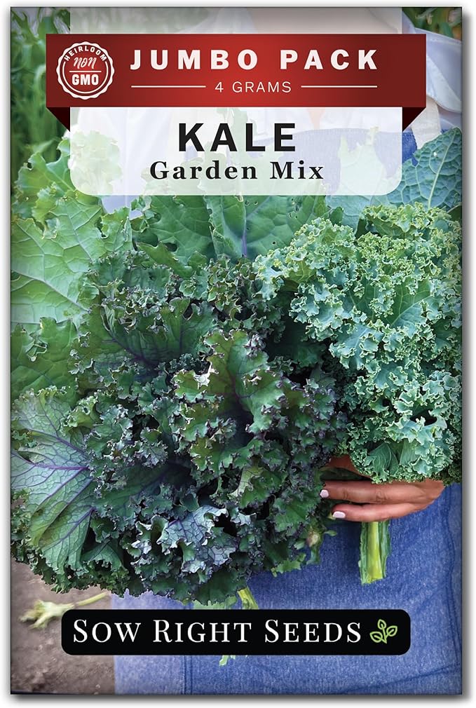 Sow Right Seeds - Bulk Mixed Kale Seeds for Planting - 4 Grams, 1200 Seeds - Non-GMO Heirloom Jumbo Packet to Plant Home Vegetable Garden - Grow Loads of Healthy Kale - Variety of Colors and Textures