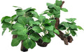 M2cbridge Artificial Fish Tank Plants Aquarium Plant Aquatic Water Grass Foreground Decor(2PCS Large Green)