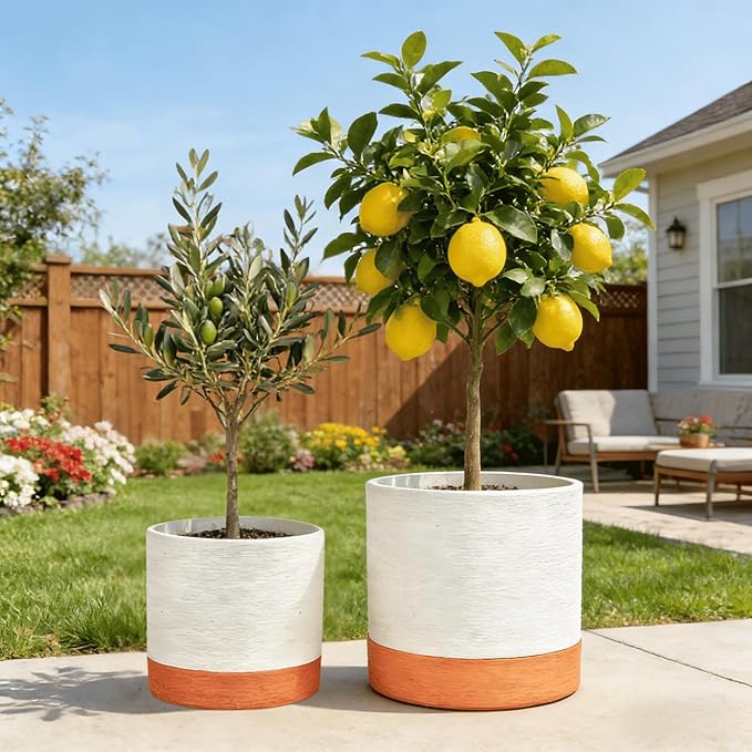 GreenShip Planter Set of 2 (13.7" & 11.8") – Cylinder Planters with Drainage Hole and Planter Saucer, Jun Porcelain Clay & Recycled Resin, Decorate Home,Office & Outdoor,White pots