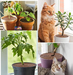 6 Pcs Plant Pot Grid Soil Protector Covers, 11.8" Cuttable Plant Protector Flower Pot Grid from Animals Cat Digging Stopper Plant Pot Cover with Stakes for Plant Gardening(6PCS Brown)