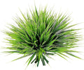 Yimingjin 12 Bundles Artificial Grass Fake Plants，Outdoor Fake Grass for Pot UV Resistant Patio Garden Porch Home Window Hanging Planter Decor Faux Plastic Shrubs(Green)