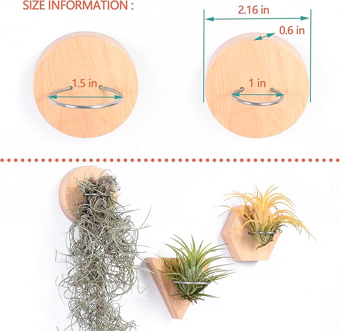 MITIME Air Plants Holders-Real Wood Live Air Plant Holders.Rustic Air Plant Stand,Wall-mounted to save space.(Plants not included)(Mix Set of 6)