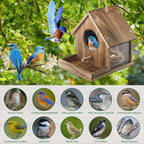 DIY Wooden Hummingbird House Assembly Kit for Outside Hanging, Ideal Bluebird House for Outdoors with Transparent Viewing Window, Built-in Bird Feeder, Gift for Bird Lovers, Great Garden Decoration