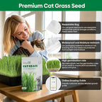Groundio Cat Grass Seeds 8oz, Non-GMO Wheat Cat Grass Seeeds & Oat Seeds Mix, High Germination Cat Grass Seeds Grown in USA for Indoor Cats