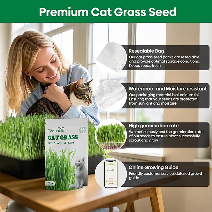 Groundio Cat Grass Seeds 8oz, Non-GMO Wheat Cat Grass Seeeds & Oat Seeds Mix, High Germination Cat Grass Seeds Grown in USA for Indoor Cats
