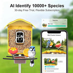 birdsnap® PAV-Bird Feeder with Camera,2K HD with 64GB Card, AI Identify Smart Bird House Cam Solar Panel,Live Stream,Motion Detection,Auto Record Video for Backyard Outdoors,Ideal Gift for Bird Lover