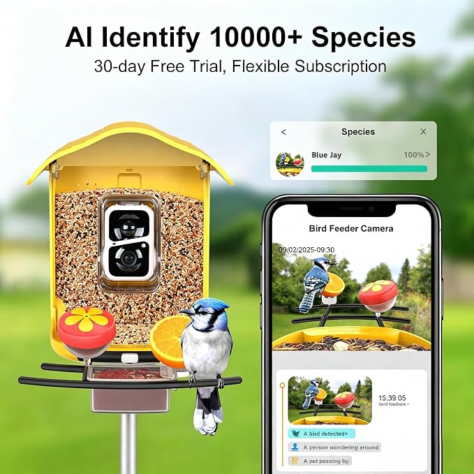 birdsnap® PAV-Bird Feeder with Camera,2K HD with 64GB Card, AI Identify Smart Bird House Cam Solar Panel,Live Stream,Motion Detection,Auto Record Video for Backyard Outdoors,Ideal Gift for Bird Lover
