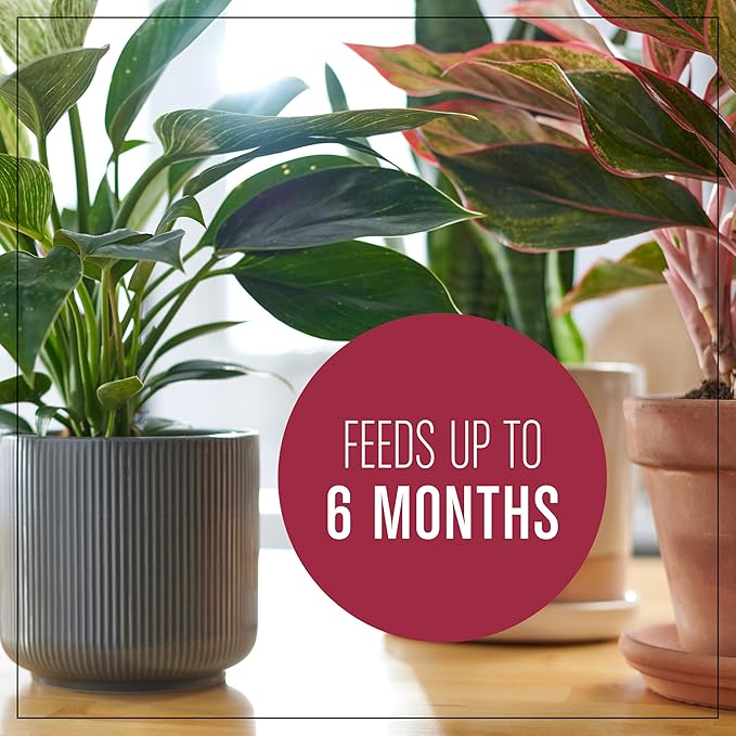 Miracle-Gro Houseplant Potting Mix - Fertilized Indoor Plant Soil for Containers, Designed to be Less Prone to Gnats, 4 qt. (3-Pack)