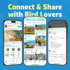 Bird Feeder with Camera, Smart Bird House with Cam for Outside, 2K HD Auto Record Video, AI Identification & Instant Alerts, Solar Powered, Bird Watching Cam for Dad Grandpa Birdlovers, Light Blue