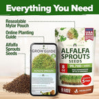 HOME GROWN Alfalfa Sprout Seeds 8 oz Bulk Heirloom Non-GMO, USA Sourced, High Germination, Fast Growing Microgreens, Nutrient Dense Sprouting Seeds for Sandwiches & Salads, Indoor Garden