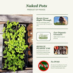 Daniel's Plants 2" Naked Pots Seedling Trays | Natural Plantable Seed Starter Trays | OMRI-Listed Biodegradable | Earth Friendly Contains No Peat | 100 Cell 2 Inch Tray (100, 2 Inch Tray)