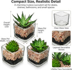 Briful Set of 3 Succulents Plants Artificial in Glass Pots Small Fake Succulents Plants Faux Plants Indoor for Home Office Table Desk Shelf Room Decor