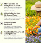 Eden Brothers Dry Area Wildflower Mixed Seeds for Planting, 10 lb, 4,800,000+ Seeds with Cosmos, African Daisy, Blue Flax | Attracts Pollinators, Plant in Spring or Fall, Zones 3, 4, 5, 6, 7, 8, 9, 10