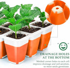 Seed Starter Tray, Reusable Seed Starter Kit, Silicone Seedling Starter Trays for Starting Plant Seeds, Seed Starting Trays with Flexible pop-Out Cells, Indoor Plant Germination Trays (Orange 10PCS)