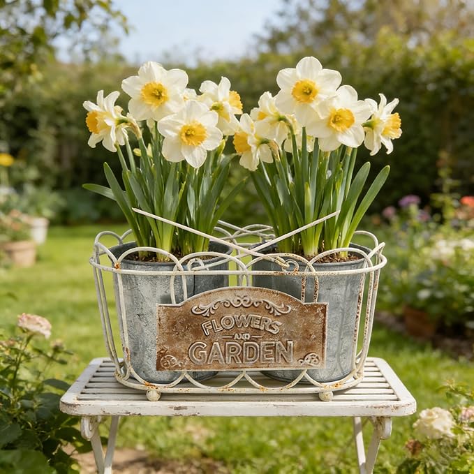 Vintage 2-Piece Metal Planter Set, Distressed White Iron Wire Basket with Flowers Garden Sign, Rustic Farmhouse Plant Pots for Tabletop, Window Sill & Balcony Decor