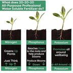 Gardenwise 20-20-20 Water-Soluble Fertilizer – Powder for Liquid Plant Food for Indoor & Outdoor Plants, Orchids, Vegetables, Lawns, Flowers – 20 20 20 Fertilizer (10 QUARTS)