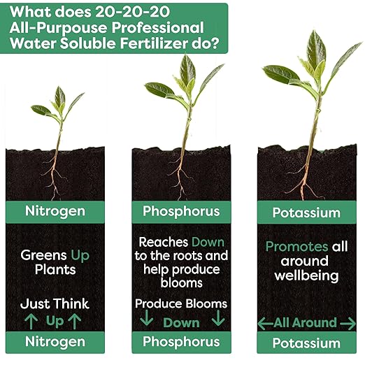 Gardenwise 20-20-20 Water-Soluble Fertilizer – Powder for Liquid Plant Food for Indoor & Outdoor Plants, Orchids, Vegetables, Lawns, Flowers – 20 20 20 Fertilizer (20 QUARTS)