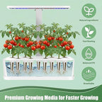 Cherry Tomato Seed Pods Kit for Hydroponics, 12 Pods Grow Anything Kit for Indoor Hydroponics Growing System, Hydroponics Supplies with 12 Grow Sponges, 12 Plant Baskets, 12 Pod Domes and Labels