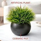 Fake Succulents Plants Artificial in Premium Ceramic Pots (2 Pack Round) Realistic Faux Succulents for Bathroom, Home & Office Décor