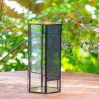NCYP Small Glass Terrarium with Mesh and Door for Spiders, Hexagon Shape Small Mantis Vented Glass Terrarium 4.9'' x 4.3'' x 9.4'', Tabletop Decor, Black (Plants Not Include)