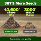 HOME GROWN Zinnia Seeds for 2026 - California Giant Mix - 14,600+ (4 oz) Plant Wildflower Blooms Bulk Seeds for Planting Flowers Outside - Pollinator Gardens (Zinnia elegans)