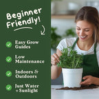 Seedboy Organic Arugula 'Slow Bolt' Seeds for Planting Indoor and Outdoor, Non-GMO and USDA Certified Herb Seed Packet for Hydroponic Garden Indoor or Planting Outdoors (Slow Bolt Arugula)