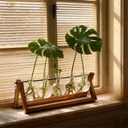 Plant Propagation Station, Propagation Vases for Plants, Unique Gardening Birthday Gifts for Women Plant Lovers Mom Best Friend - 5 Bulb Glass Vases