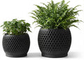 Plant Pots, Modern 3D Printed Honeycomb Planters for Indoor Plants, 4.7/6 Inch Matte Black Decorative Flower Pot for Office Desktop, Bookshelf & Home Decor, Lightweight & Durable.
