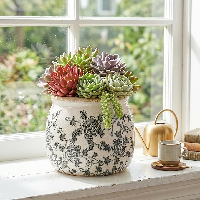 DREAMLOOM Vintage Ceramic Planter for Indoor Plants,6.1" Ice Crack Cottage Scroll Vase Tuscan Decor Flower Pots with Drainage Holes Home Kitchen Farmhouse Antique Decorative Gift (Grey-Round)