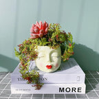 Girl Face Flower Pot Small Lady Head Planter Funny Flower Pot for Cactus Lovely Resin Head Face Planter with Anti-Friction Pads Pale Yellow 1Pack