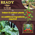 FoxFarm Happy Frog Potting Soil, 2cu ft (Pack of 4) - for Indoor/Outdoor Container Plants, Improves Root Efficiency, pH Adjusted for Optimal Nutrient Uptake - Contains Mycorrhizae and Humic Acids