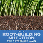 Scotts Turf Builder Grass Seed Sun and Shade Mix - Grass Seed Plus Lawn Fertilizer and Soil Improver, Covers Up To 12,800 sq. ft., 32 lb.