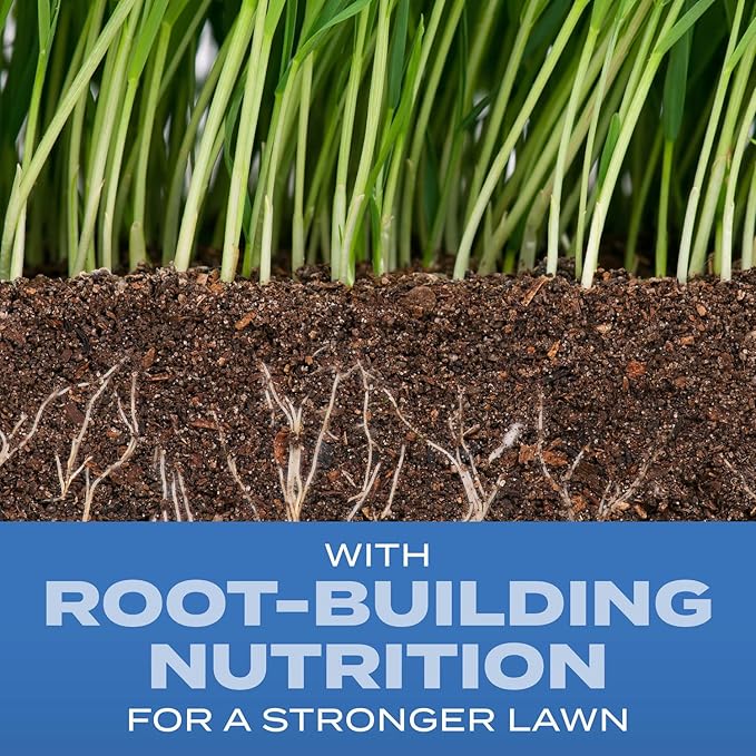 Scotts Turf Builder Grass Seed Sun and Shade Mix - Grass Seed Plus Lawn Fertilizer and Soil Improver, Covers Up To 960 sq. ft., 2.4 lb.