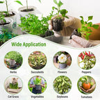 Legigo 100 PCS 35mm Coco Coir Pellets Seed Starter Soil Pods, Compressed Seed Starting Coconut Coir Pellets Soil Plugs for Seedlings, Seed Plant Starter Pods for Garden Herbs Flowers Vegetables