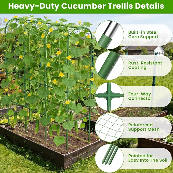 2 Pack 62in Tall Cucumber Trellis for Raised Bed, 51" L x 62" H Metal Garden Trellis for Climbing Plants Outdoor, U-Shape Vegetables Trellis Support for Squash Zucchini